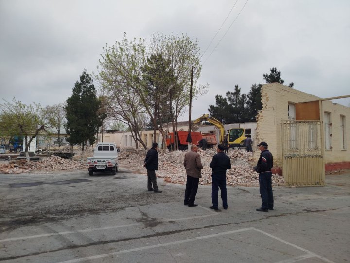 В Коканде многолетние деревья находятся под угрозой уничтожения из-за проводимых строительных работ