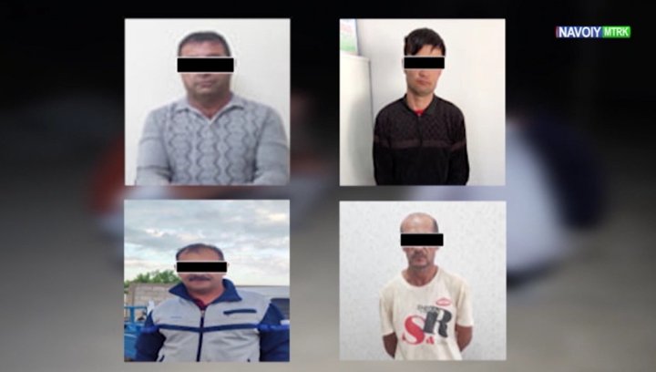 В Навои задержали преступную группу, члены которой занимались кражами крупного рогатого скота