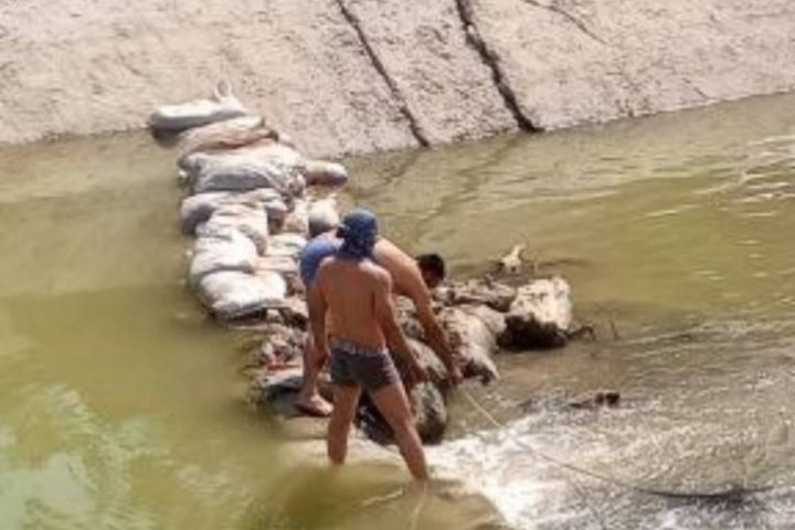 В Самарканде сделали дамбу из останков ослов — видео