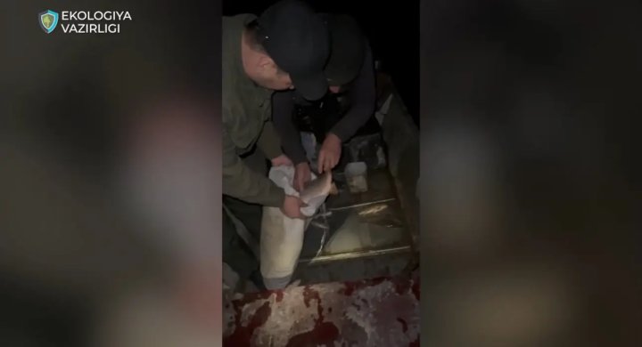 Экологи достали из реки Сырдарьи почти километр рыболовных сетей браконьеров