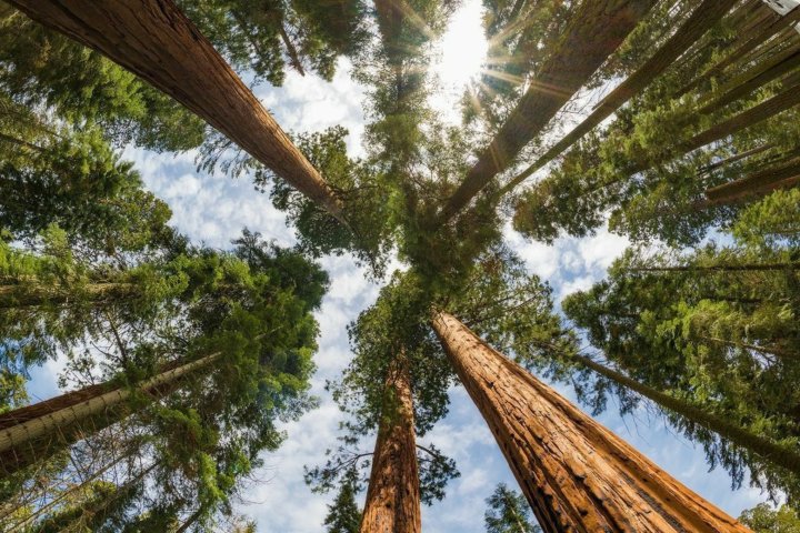 Всемирный банк инвестирует $153 млн в экологическое восстановление Узбекистана