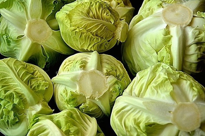 Узбекская капуста нарасхват: миллионы долларов в кочанах