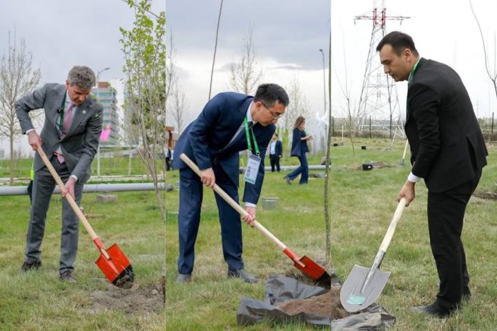 Участники климатического форума заложили сад в Самарканде