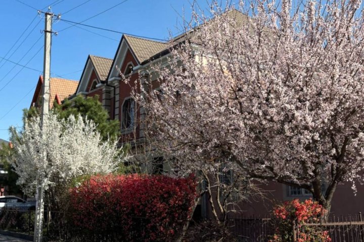 Какая погода ждёт узбекистанцев перед выходными
