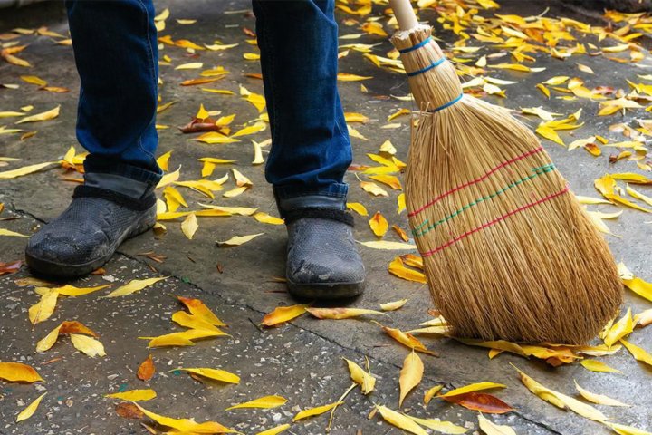 Масштабный общегородской хашар объединил жителей Ташкента