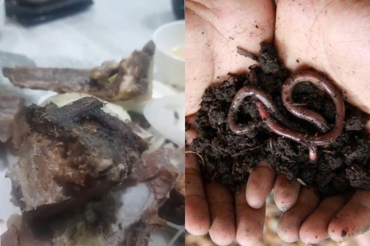 В Узбекистане в одном из кафе нашли червей в тандырном мясе — видео