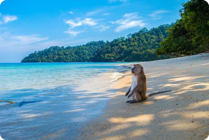Стало известно о новом порядке въезда в Таиланд, в том числе и для узбекистанцев