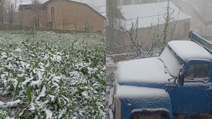 В одном из регионов Узбекистана выпал снег