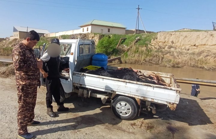 В Каттакургане злоумышленники загрязняли воду канала внутренностями мёртвых животных