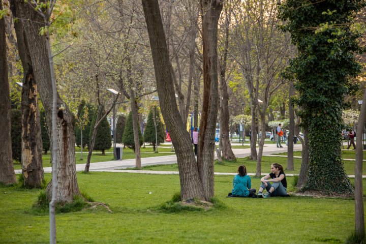 Узбекистан создаст парки единства к 2030 году