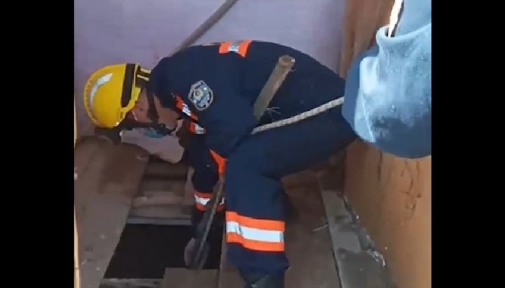 Сотрудники МЧС спасли щенков, провалившихся в уличный туалет одного из домов города Нукуса