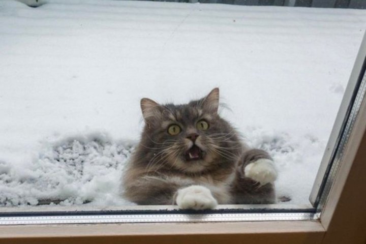 В один из регионов Узбекистана вернулась зима