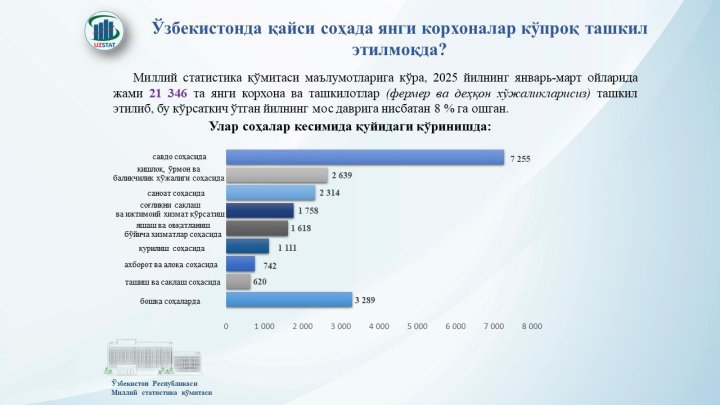 За первый квартал 2025 года в Узбекистане появилось более 7 тыс. организаций в сфере торговли