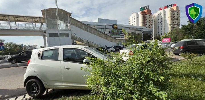 Машины в кустах: В Ташкенте экологи наказывают автолюбителей