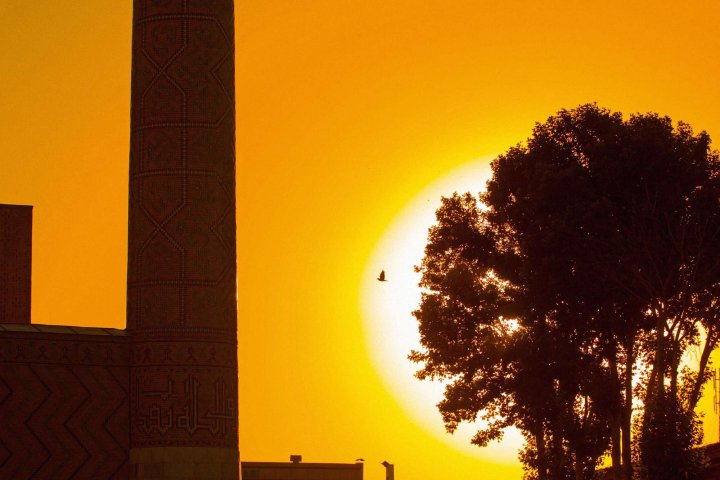 Магнитная буря накрыла Ташкент