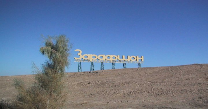 В Зарафшане заработал Yandex Go