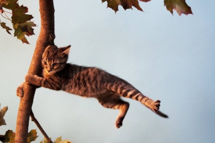 В Узбекистане ожидаются сильный ветер и пыльные бури