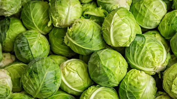 Главным покупателем узбекской капусты стала Российская Федерация