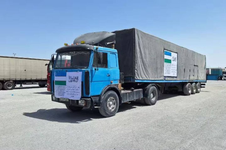 Узбекистан бесплатно передал Афганистану свыше 26 тонн семян