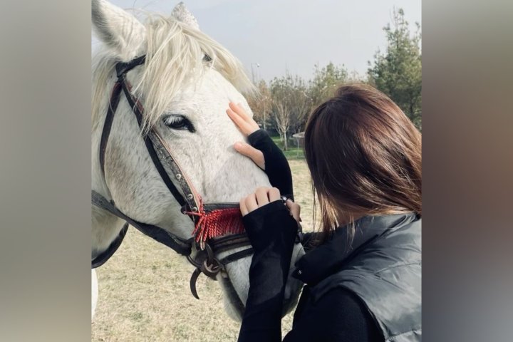 В Узбекистане подсчитали количество лошадей