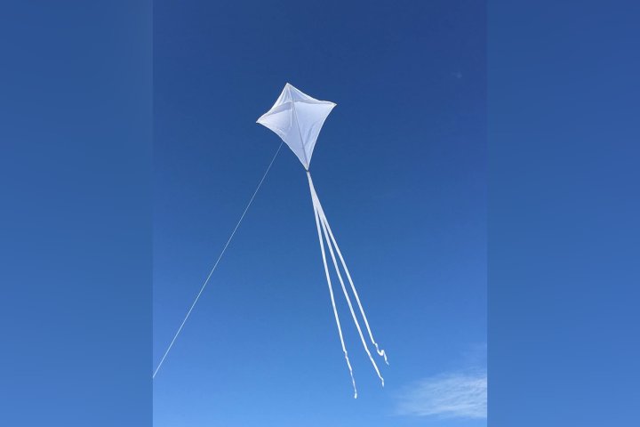 В Ташкенте ожидаются кратковременный дождь, гроза