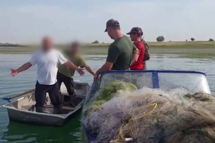 В Ташобласти поймали браконьеров