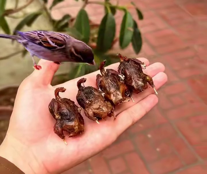 Жители Ферганы обеспокоены продажей воробьиного мяса