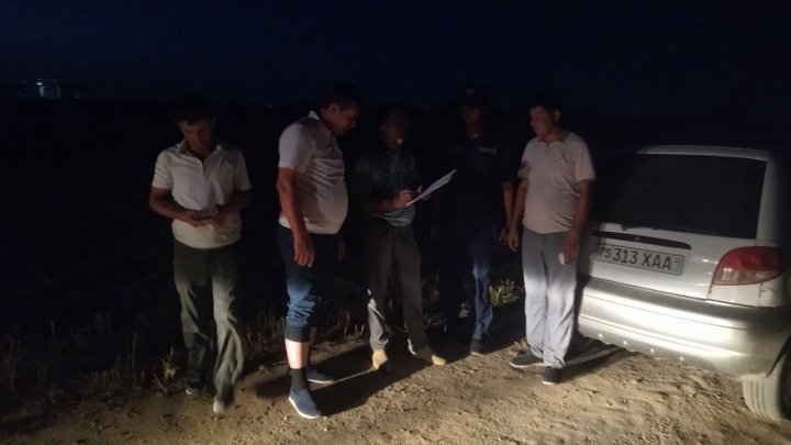 В Термезе наказали мужчину, который выпасал скот в местах посадки саженцев деревьев