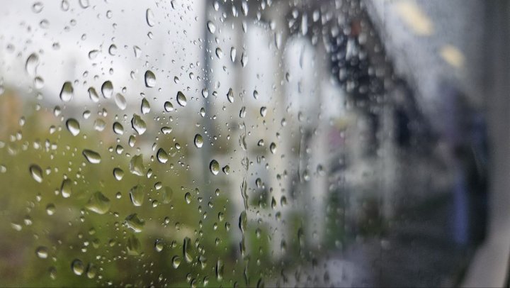 Стало известно, когда в Ташкенте вновь ожидается дождь