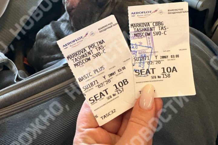 Рейс «Ташкент — Москва» вынужденно приземлился в Казани из-за дронов