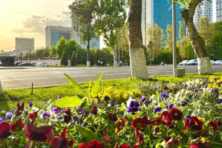 Ташкент «упал» в Global Cities Index 2025 из-за экономики и экологии