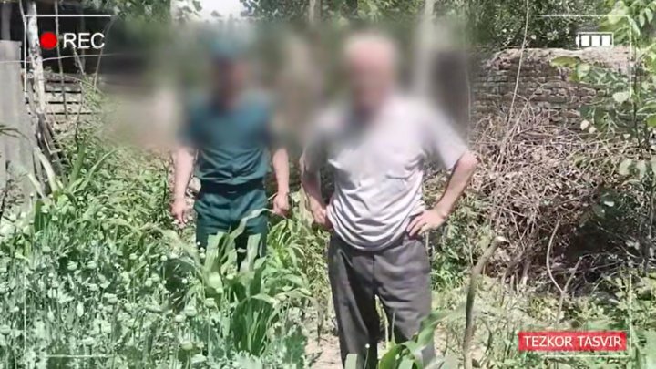Житель Андижана организовал плантацию опийного мака в собственном доме