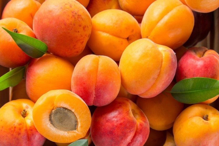 В Узбекистане резко подешевели абрикосы