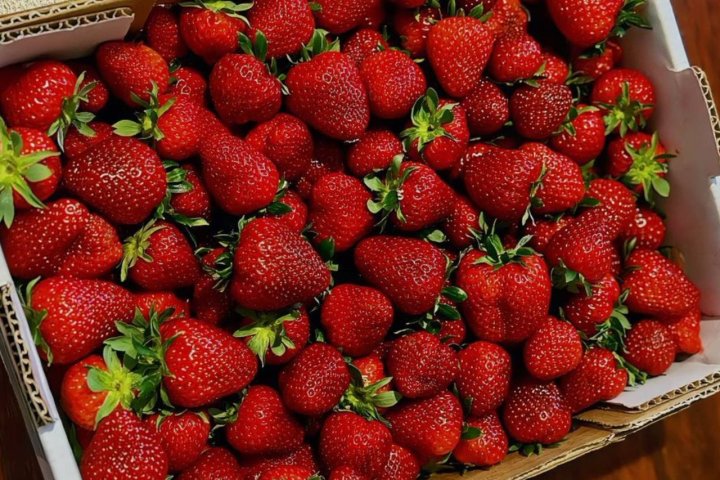 В Узбекистане резко упали цены на клубнику