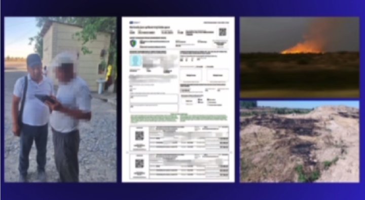 В Сырдарье мужчина оштрафован за поджёг сухих растительных остатков в поле