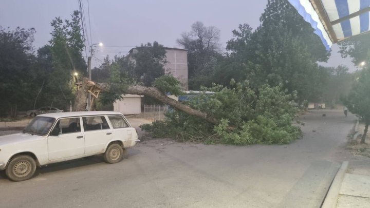 Названа причина пыльной бури в Ташкенте