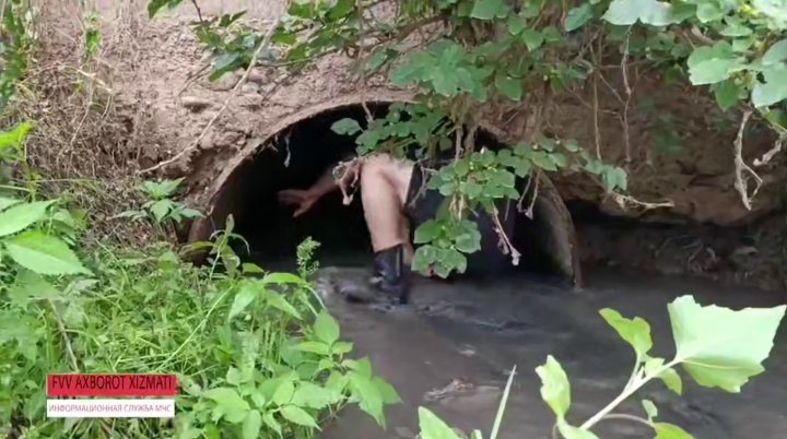 В Наманганской области бык застрял в трубе ирригационной системы