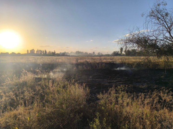 В Сергелийском районе 3 раз за сутки пожарные тушат сухую траву