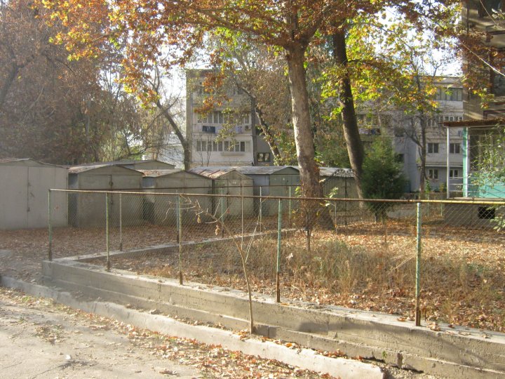 УК в Узбекистане показали свою неэффективность