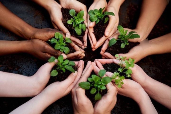 В Узбекистане создадут студенческое эковолонтёрское движение