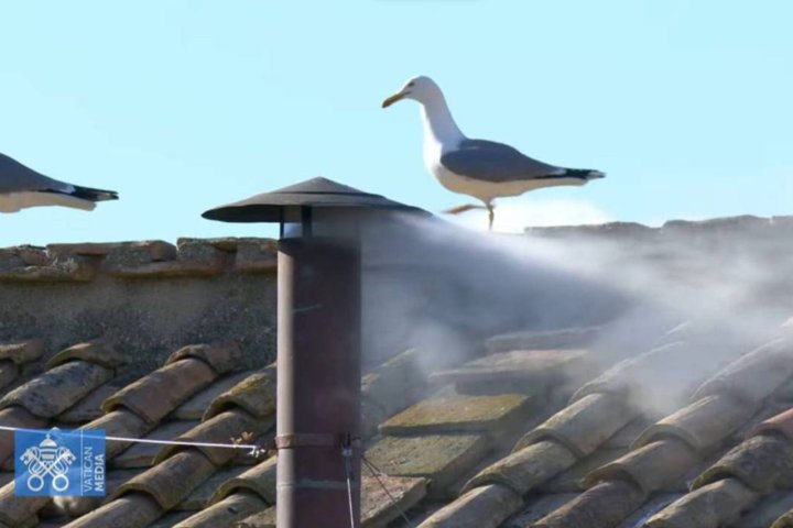 Избран новый Папа Римский