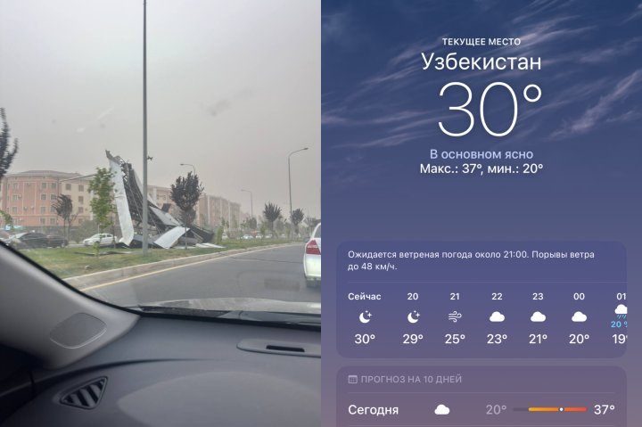 Ташкент продуло на высоких скоростях