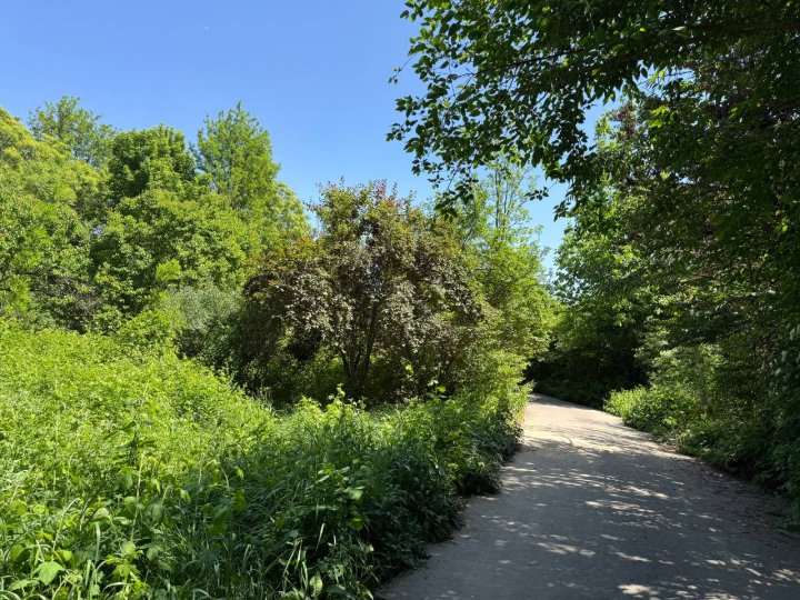 В Узбекистане официально запретили приватизировать парки и ботанические сады