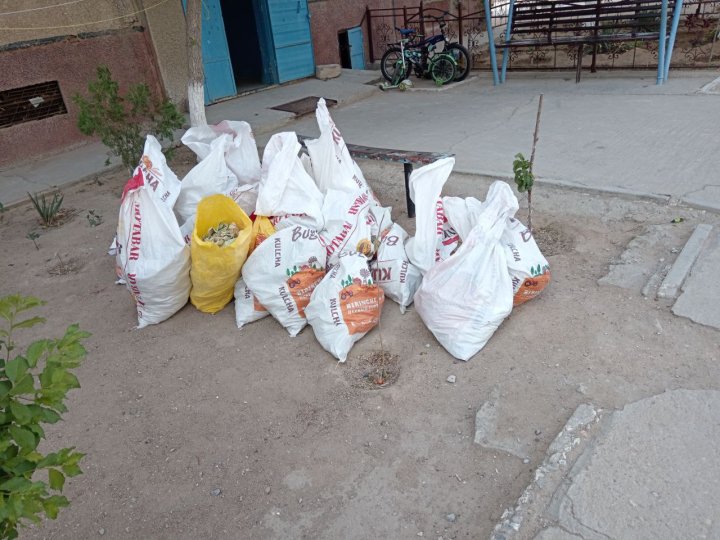 За месяц экологи Навоийской области оштрафовали 53 человека на 36 млн сумов