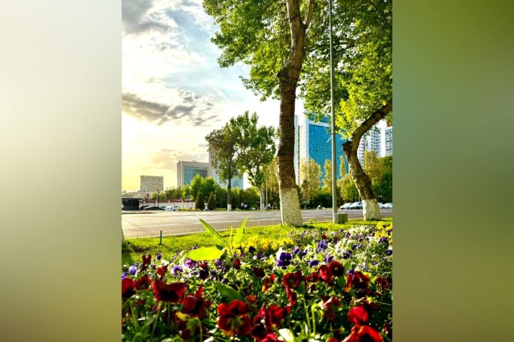 Очень жарко или жарко: Узбекистанцам рассказали, каким будет лето 2025 года