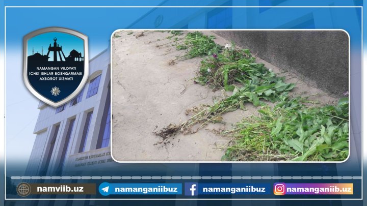 Житель Папского района выращивал опийный мак