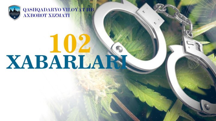 Житель Кашкадарьи выращивал в своём саду каннабис