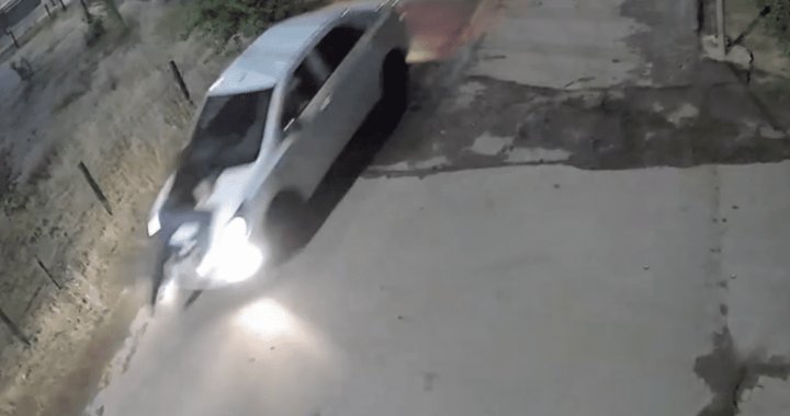 Водитель в Ташкенте сбил кошку и протащил женщину на капоте