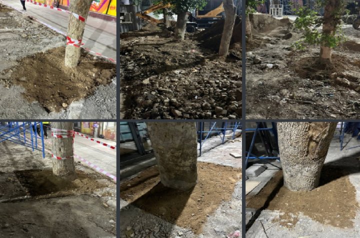 Выявлены повреждения деревьев при строительстве комплекса «Nirvana» в Яккасарайском районе