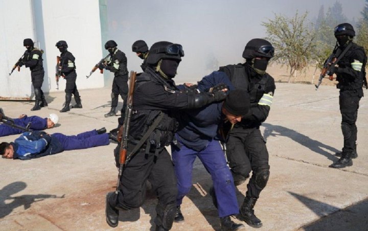 В Узбекистане увеличат штрафы за неподчинение сотрудникам правопорядка